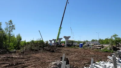 На стройке LRT в сторону Косшы заметили поваленные деревья - что происходит
