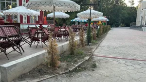 У знаменитого павильона «Ак-Суу» засохло все озеленение, проведенное мэрией