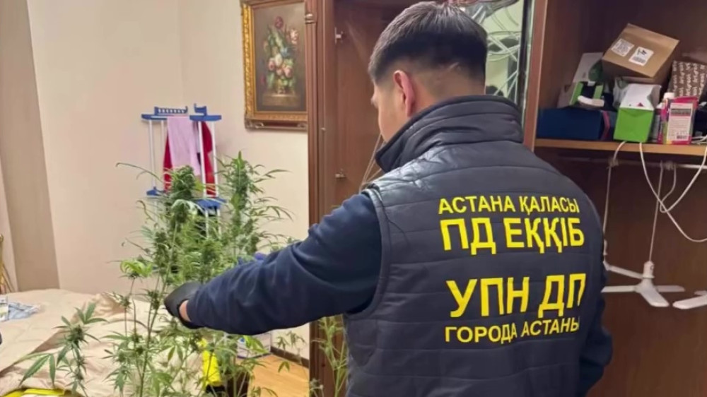 Обыск в спальне у таролога закончился уголовным делом в Астане