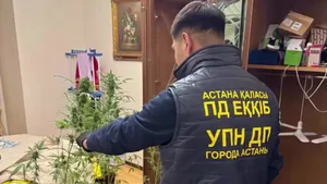 Обыск в спальне у таролога закончился уголовным делом в Астане