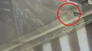 Видео момента смертельного ДТП на Аль-Фараби показали в суде