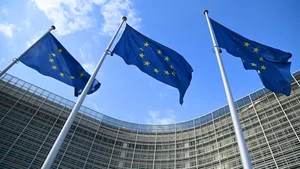 МИД Узбекистана опроверг планы по созданию центров высылки мигрантов из ЕС