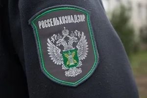 Россельхознадзор усилил контроль за получателями кыргызской сельхозпродукции, - Минсельхоз
