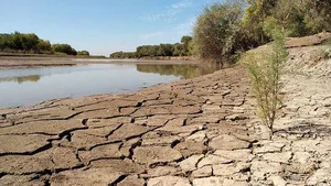 Всемирный банк выделит 20 миллионов долларов на спасение водных ресурсов стран ЦА