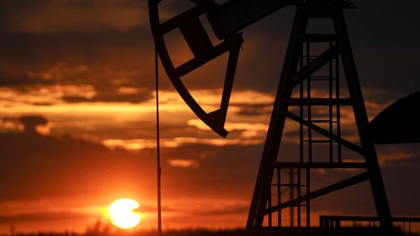 США могут снизить пошлины для пяти крупнейших покупателей нефти и газа из РФ