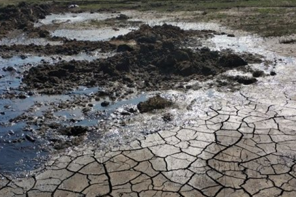 Абшеронский парадокс. Сотка за 2 миллиона манатов и 17 000 опасных гектаров