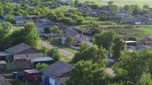 Неизвестная болезнь поразила домашних животных на севере Казахстана