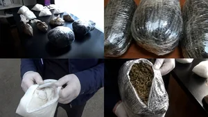 В Сабунчи изъято около 50 кг наркотиков