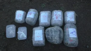 В Азербайджане минувшим днем изъято более 45 кг наркотиков