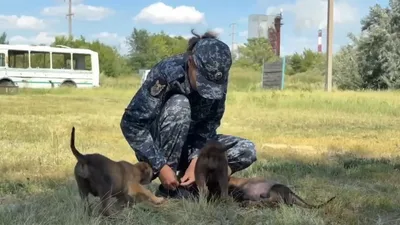 Мама ищет людей, а папа - наркотики. В полиции Астаны появились хвостатые новобранцы